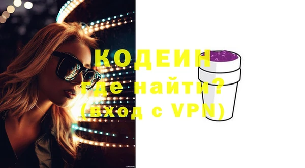СК Кодинск
