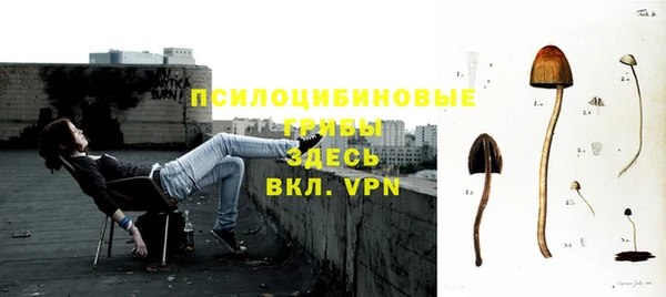 хмурый Киренск