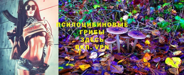 СК Козельск