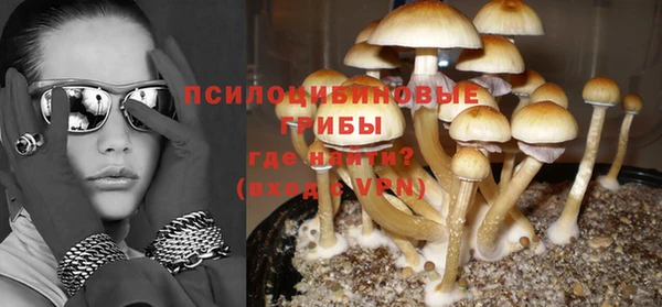 таблы Козловка