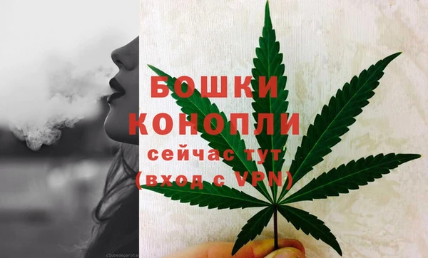 СК Кодинск