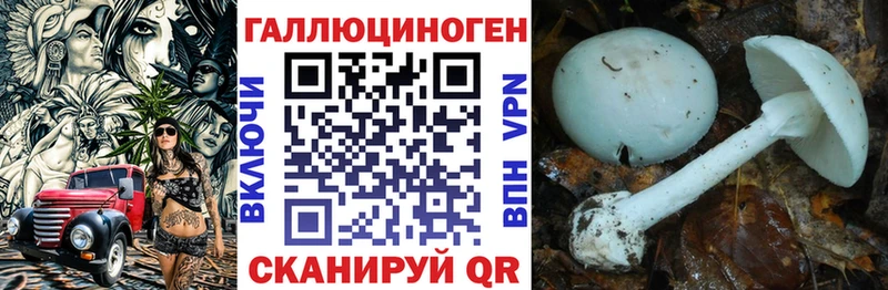 Купить где  Болгар  Псилоцибиновые грибы мухоморы 