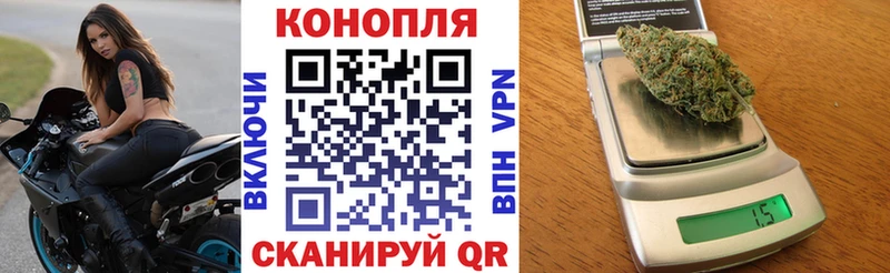 Марихуана сатива Болгар