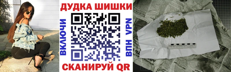 Конопля план  Купить где  Болгар 
